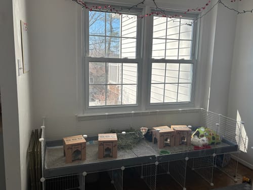 Customer photo review of 6x2 C&C Cage with Stand