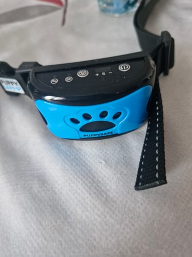Customer photo review of Collier Anti Aboiement PuppySafe