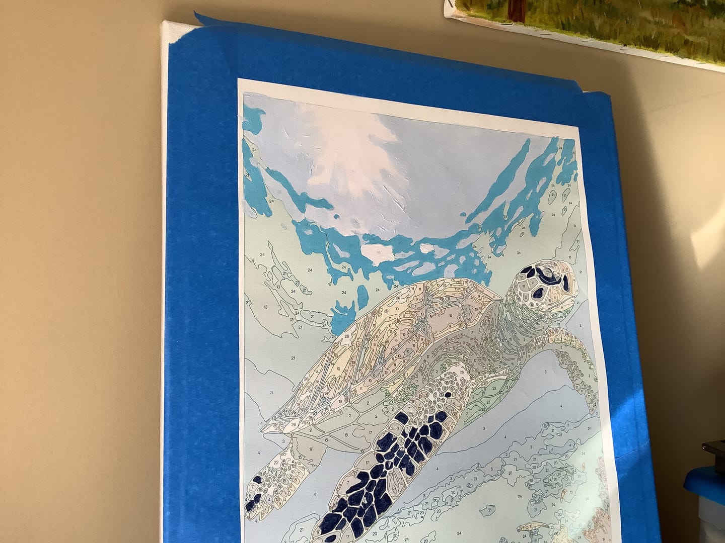 Customer photo review of Sea Turtle Paint By Numbers Kit