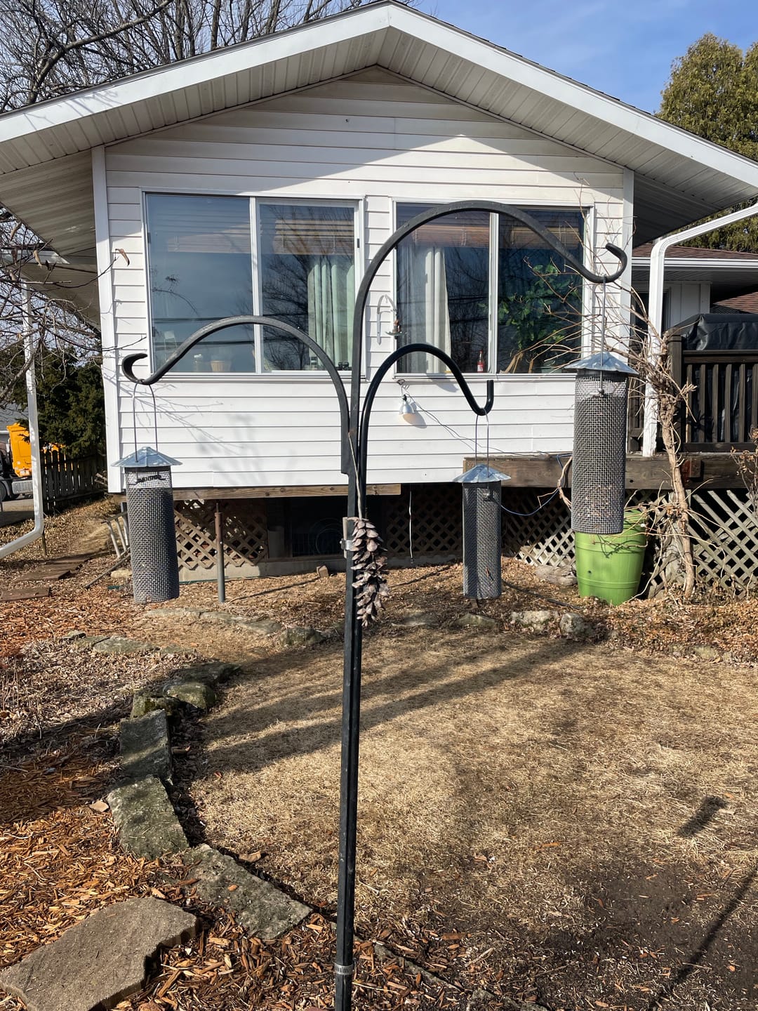 Customer photo review of Thistle Birdseed (Nyger)