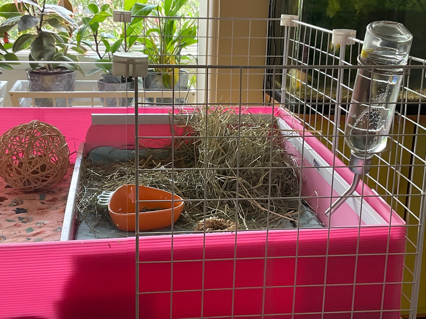 Customer photo review of Grass Hay