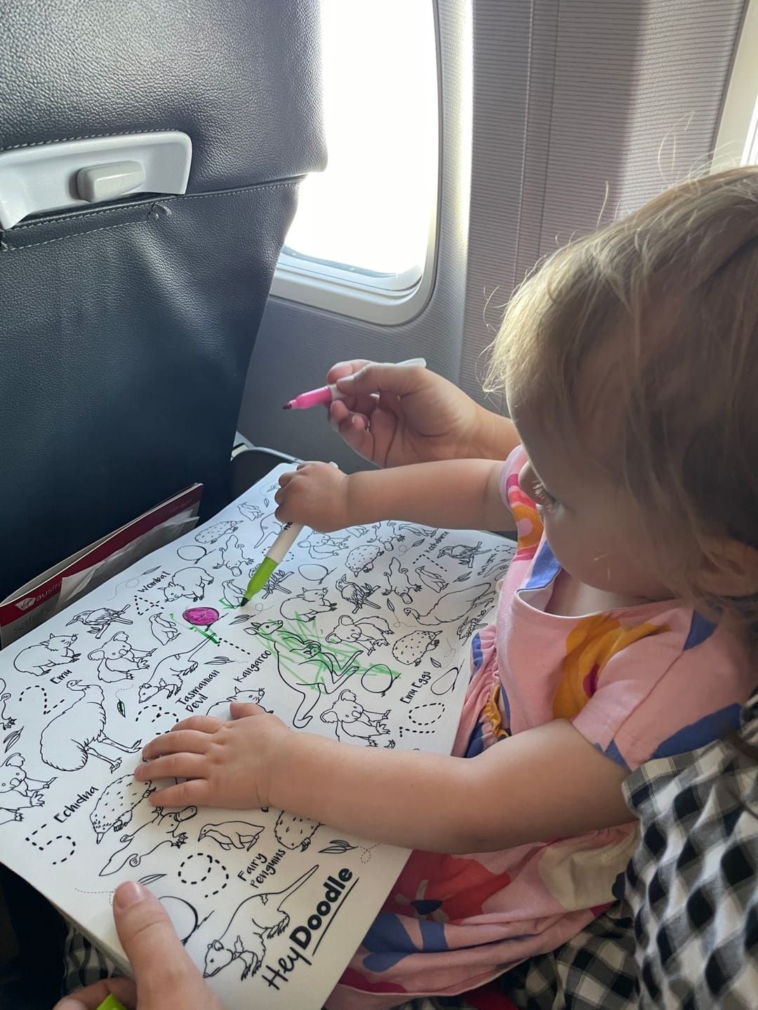 Customer photo review of Aussie Animals Classic Colouring & Doodle Mat