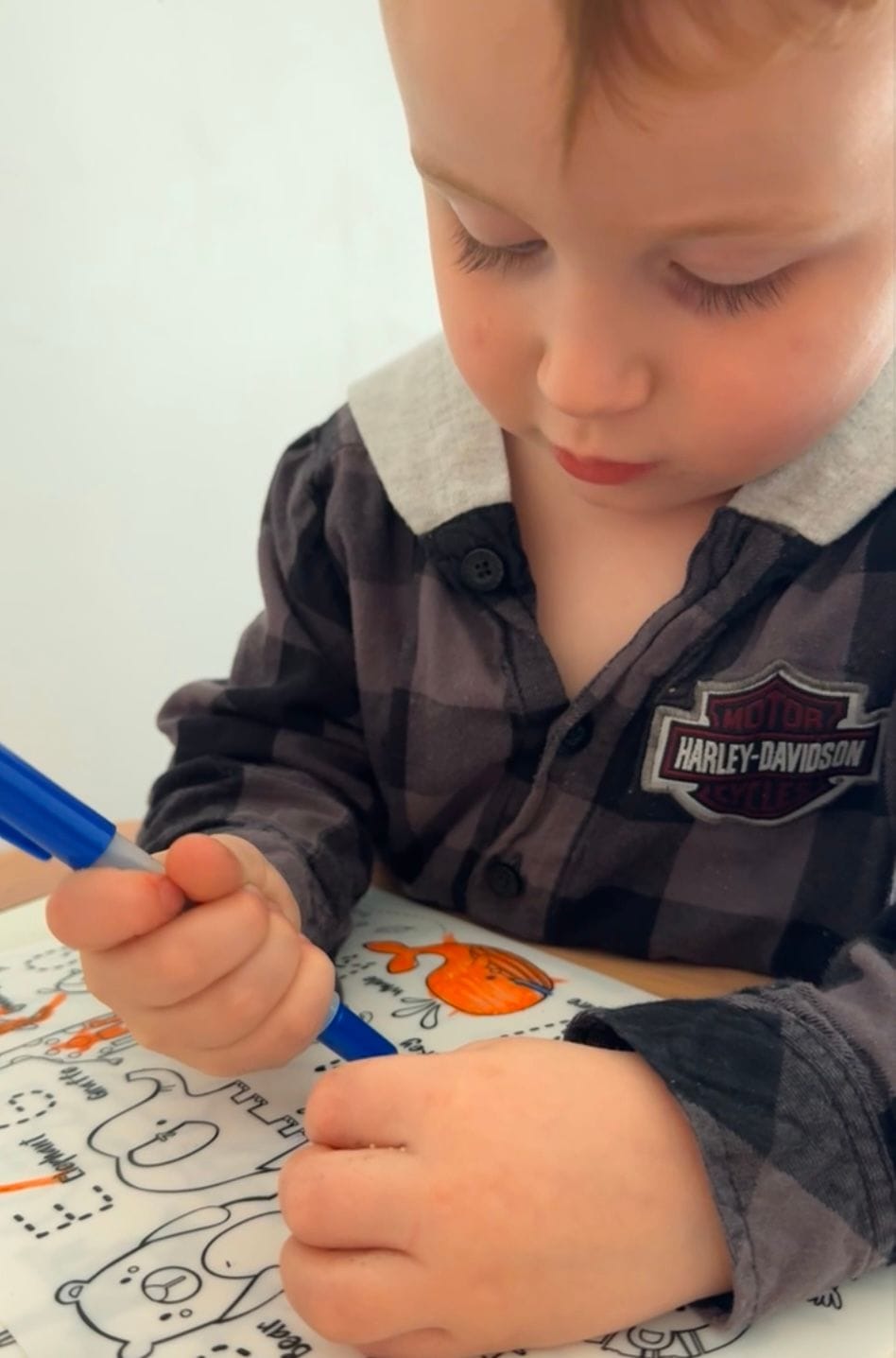 Customer photo review of Into The Wild Mini Colouring & Doodle Mat