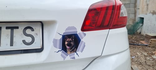 Customer photo review of Foto curiosa - Pegatina para coche personalizada