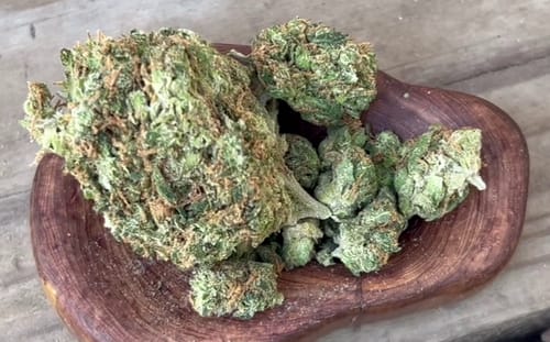 Customer photo review of Blue Dream