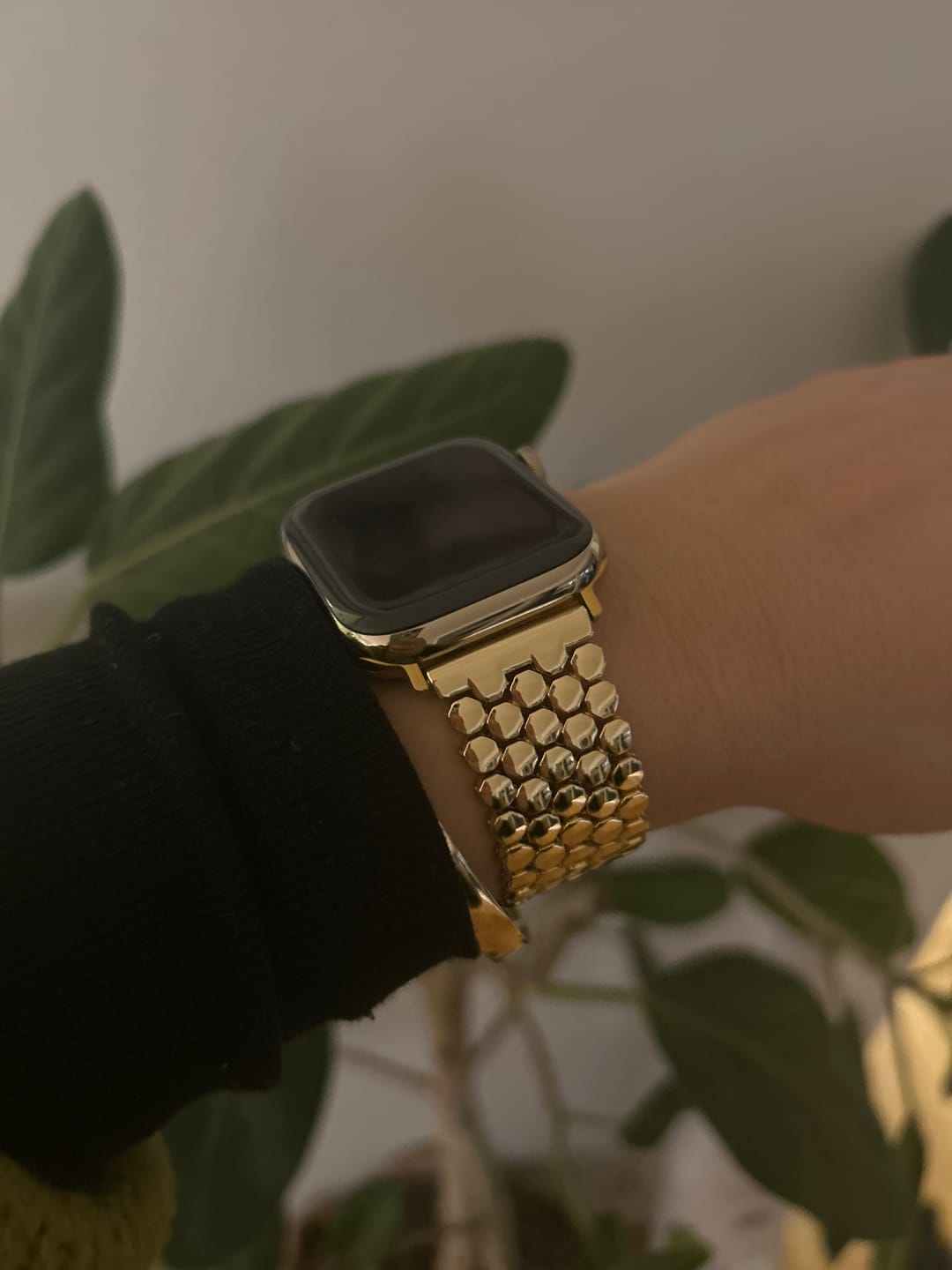 Customer photo review of Poseidon Stainless Band