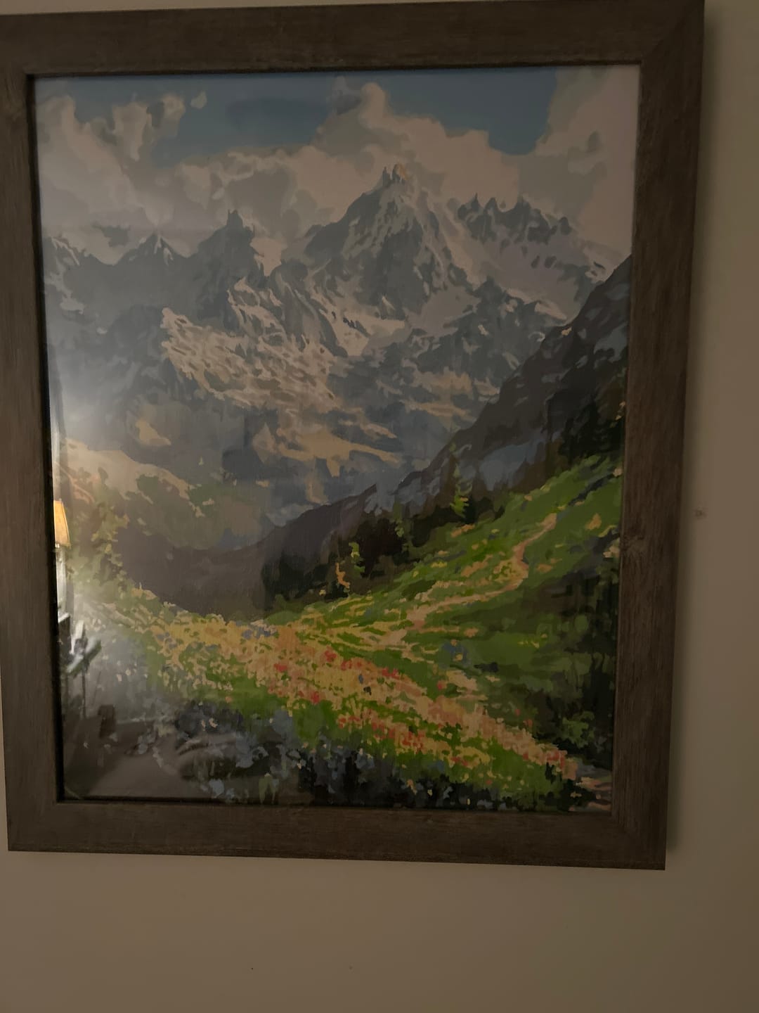 Customer photo review of Mountain Path
