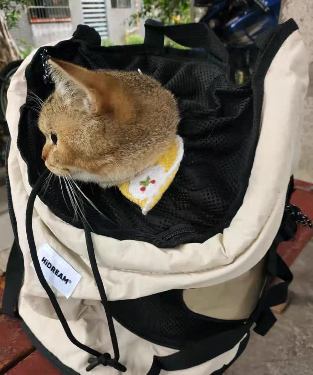 Customer photo review of Comfortable Labor-saving Front Pet Carrier