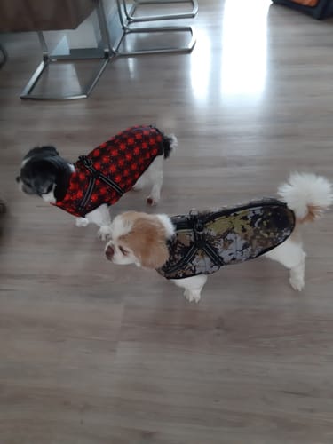 Customer photo review of Emmalove - PawPrint Pro Hundejacke