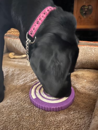 Customer photo review of FreezSwirl - Durable Stimulation Toy