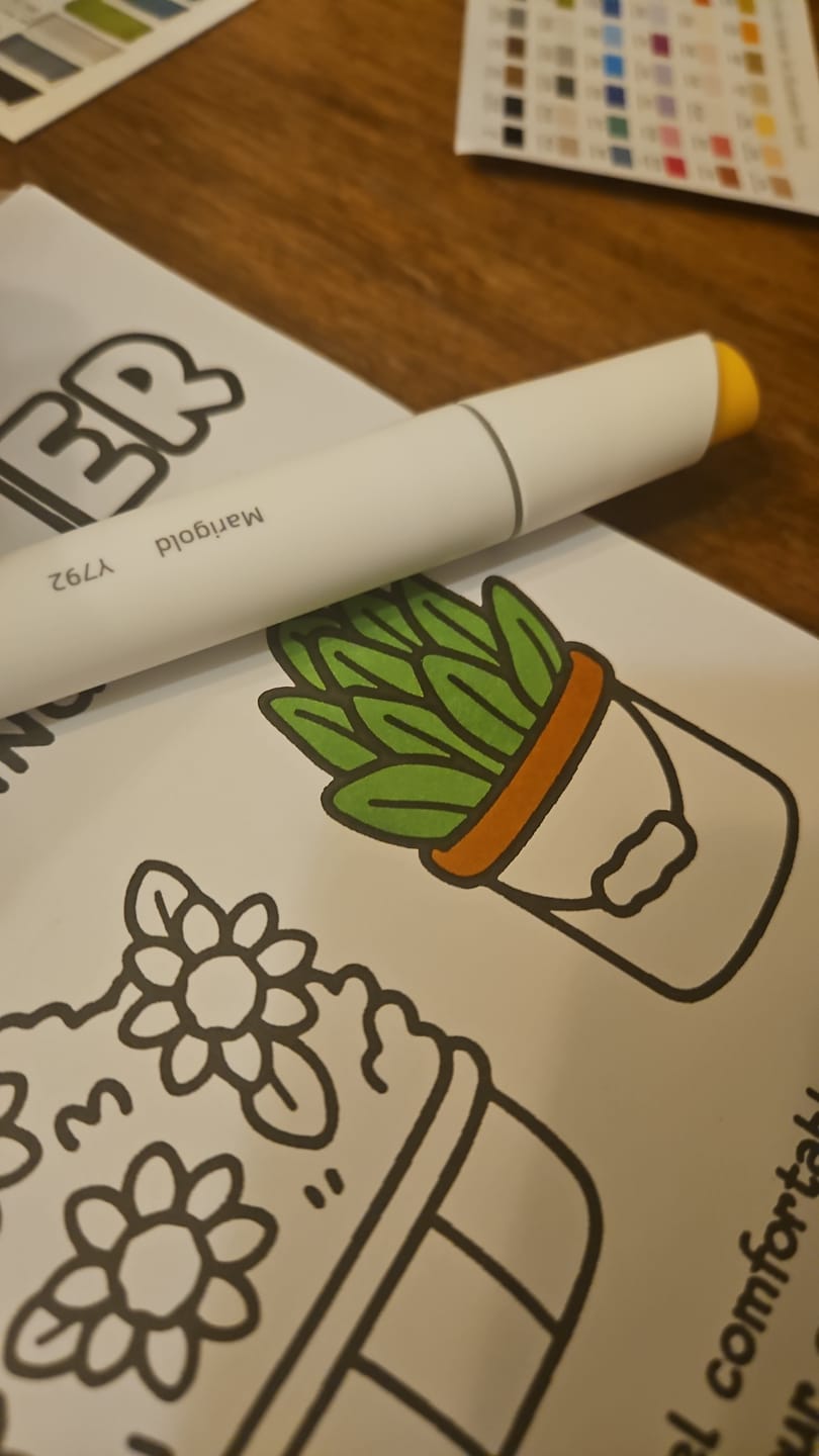Customer photo review of Ohuhu - Set 60 Marcadores al Alcohol Kaala Illustration Tones Fina y Biselada