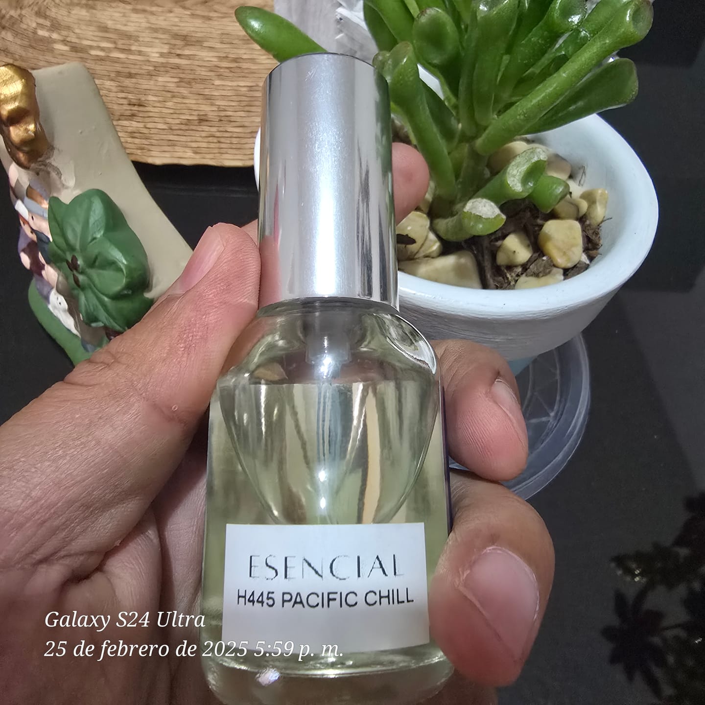 Customer photo review of H445 Inspirado en: Pacific Chill - Louis Vuitton