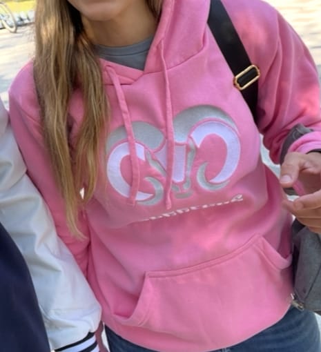 Customer photo review of Sudadera Essential BORREGOS rosa, unisex