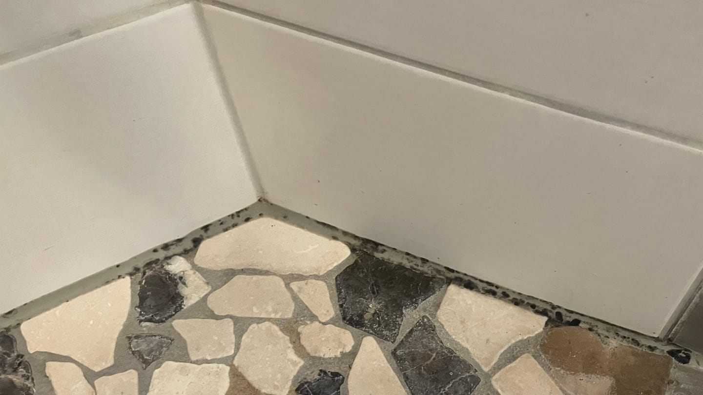 Customer photo review of LS Fungex