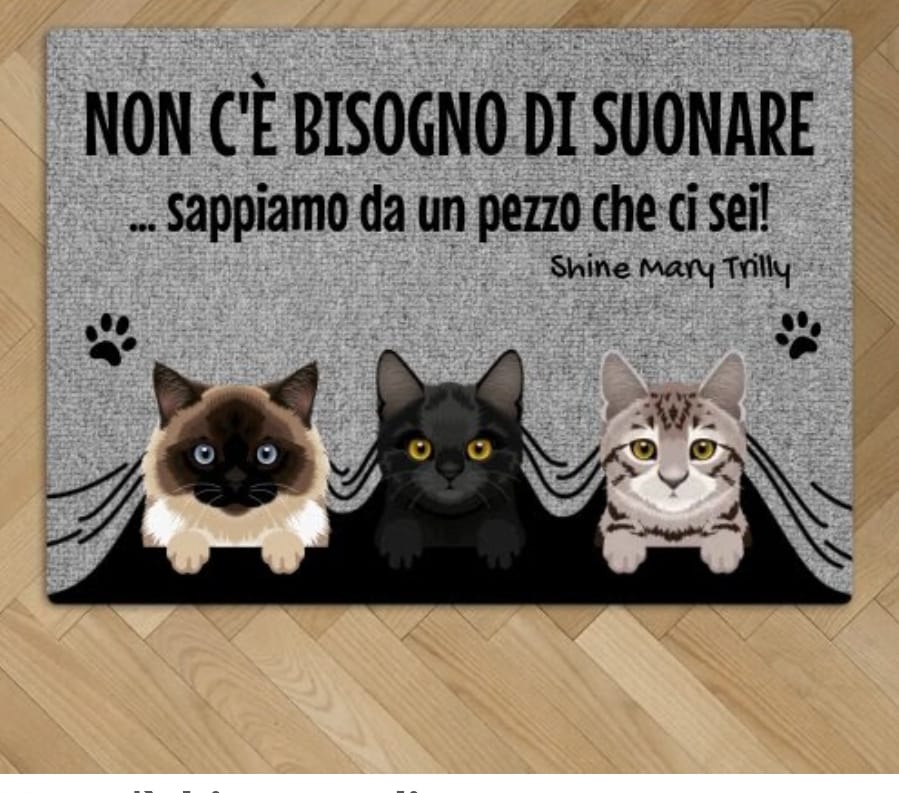 Customer photo review of Non c'è bisogno di suonare - Zerbino personalizzato