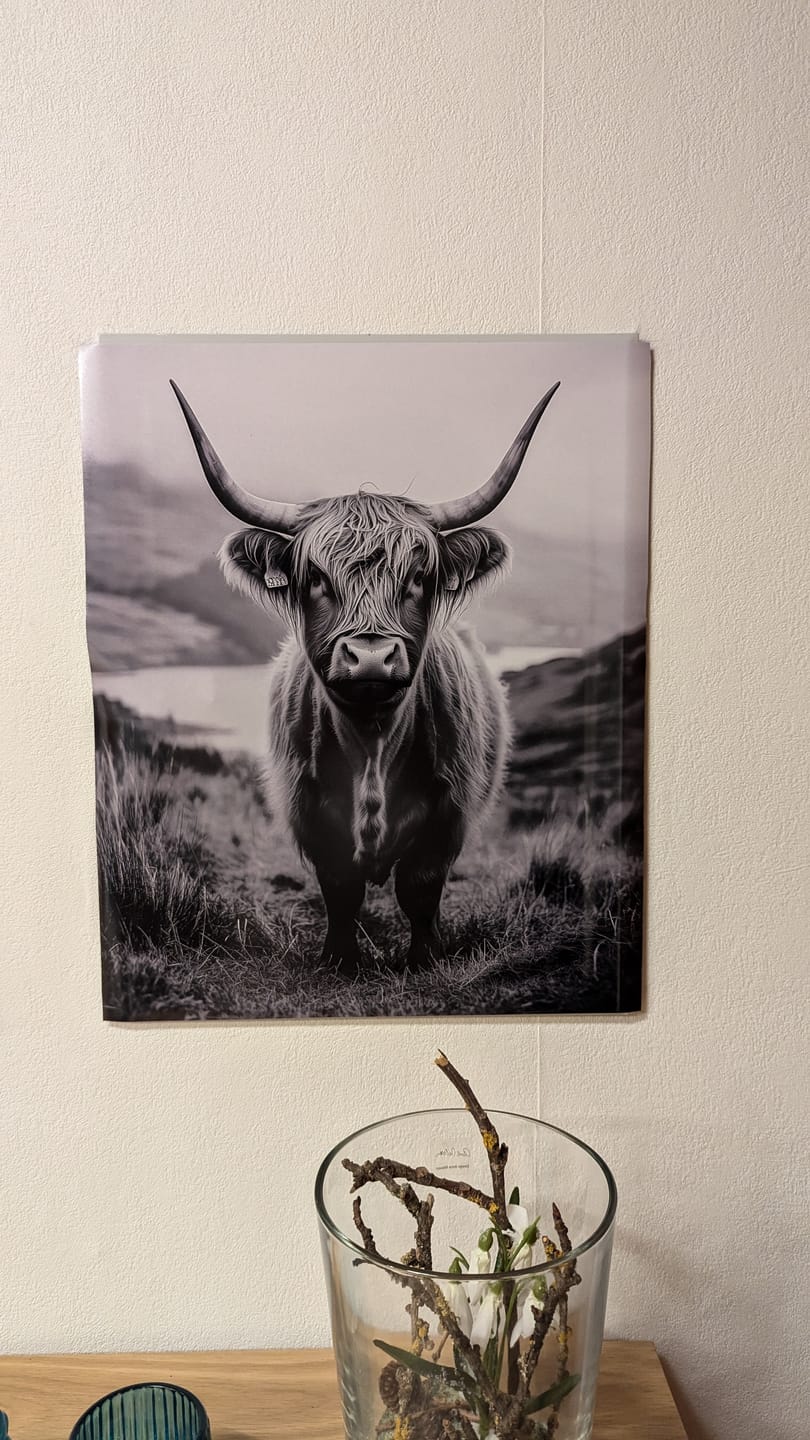 Customer photo review of Tiere: Highland Spirit