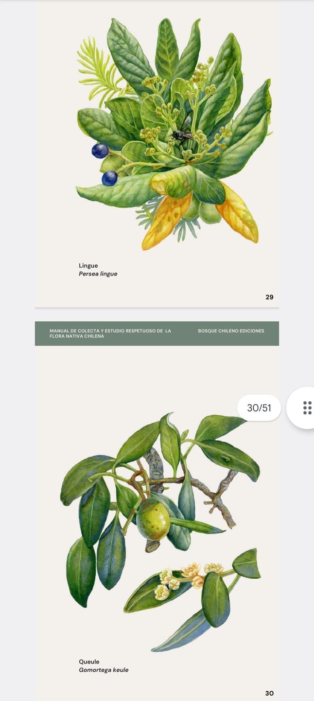 Customer photo review of Ebook - Manual de campo para el estudio respetuoso de la flora nativa chilena
