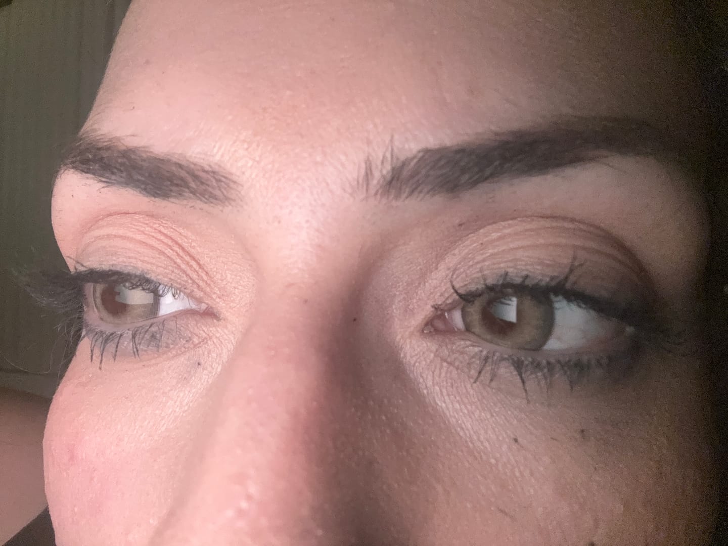 Customer photo review of Himalaya Brown Prescription  Colored Contact Lenses