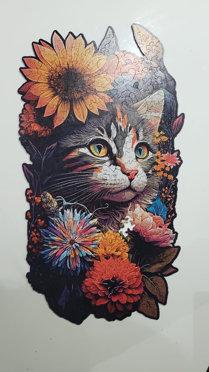 Customer photo review of L.O.V.E KEDİ