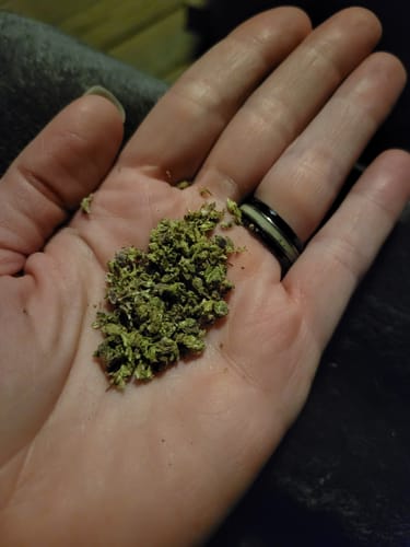 Customer photo review of Gold Spectrum THCA Flower - Exotic Quality Strain of the Month