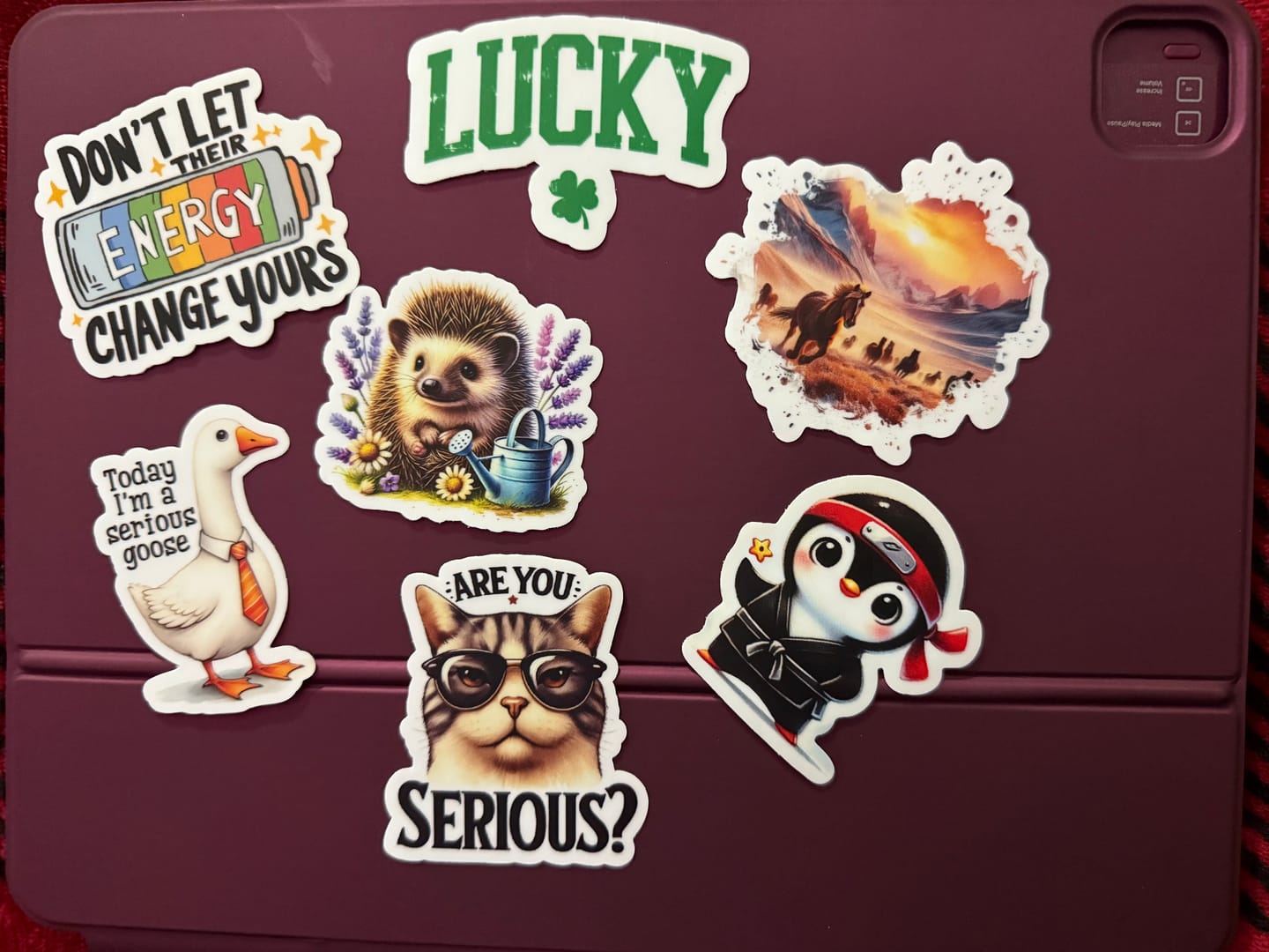 Customer photo review of KIDS STICKER CLUB | Monthly Subscription