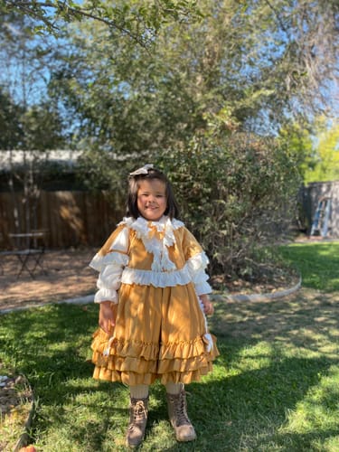 Customer photo review of Baby Girl Dress Little Girl Party Elegant Lolita Velvet Fluffy Princess Dress