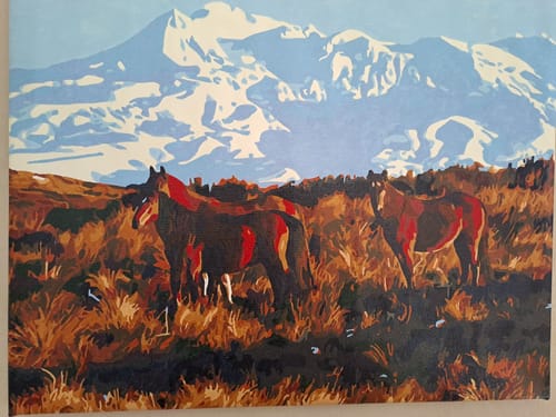 Customer photo review of Kaimanawa Horses