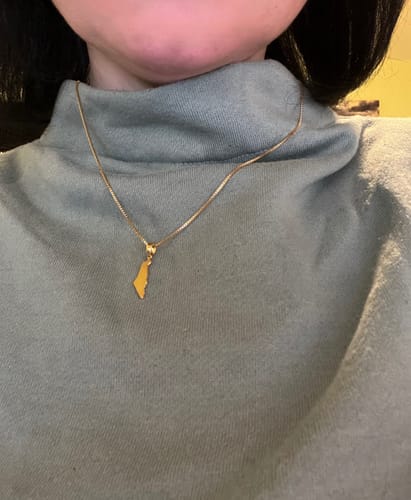 Customer photo review of Map of Israel Necklace