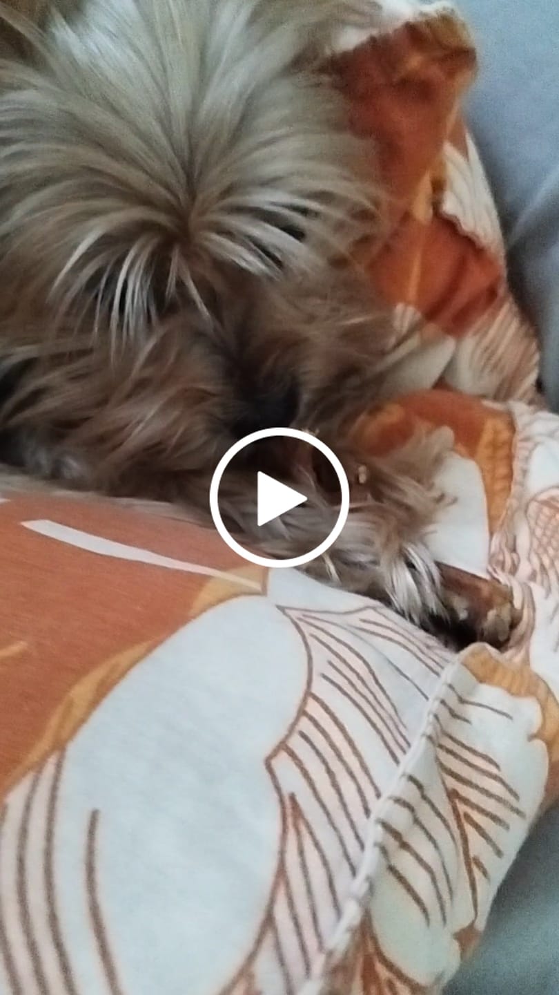 Customer video review of Patas de pollo
