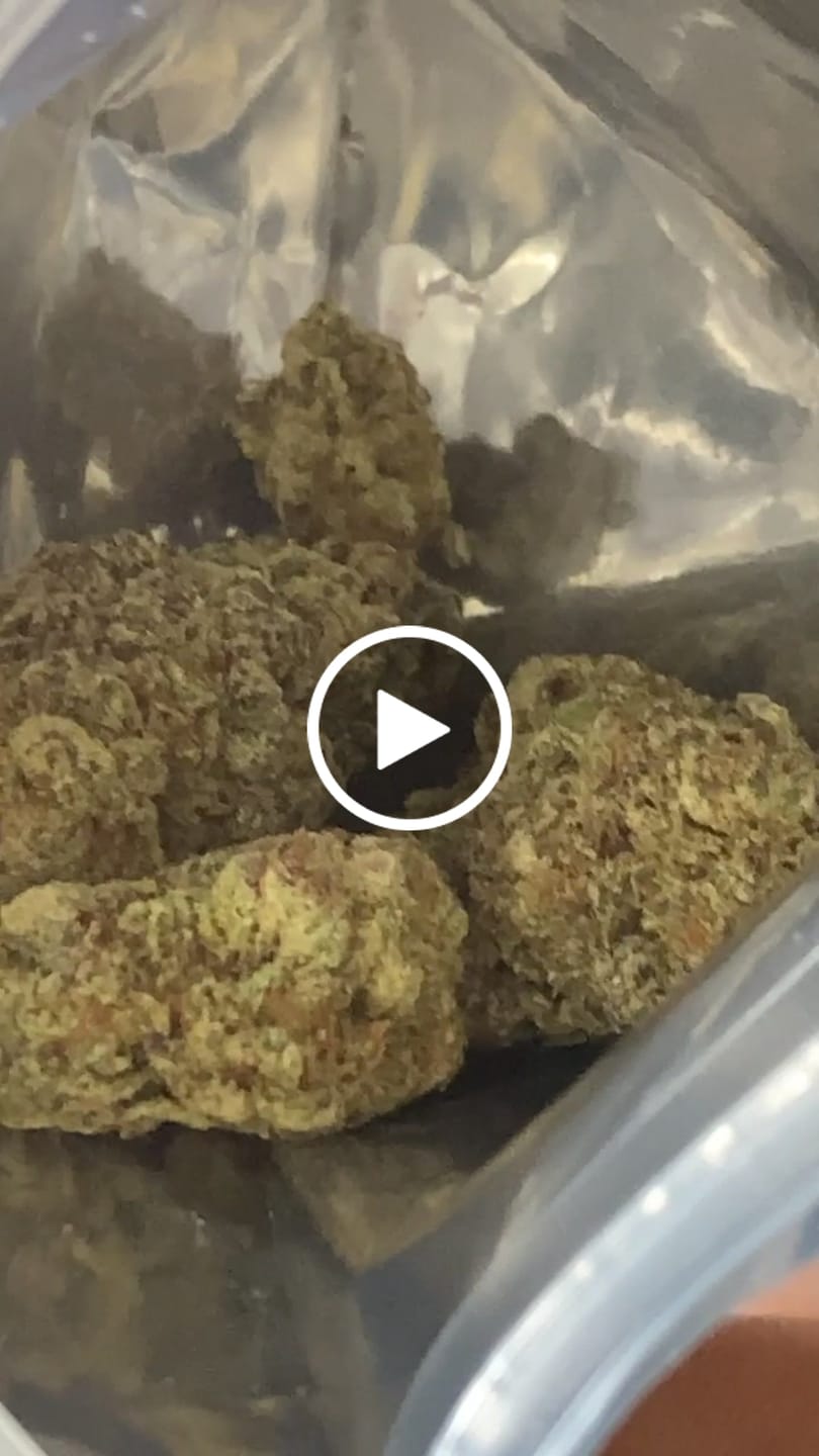 Customer video review of Gush Mintz Light Assist THCA