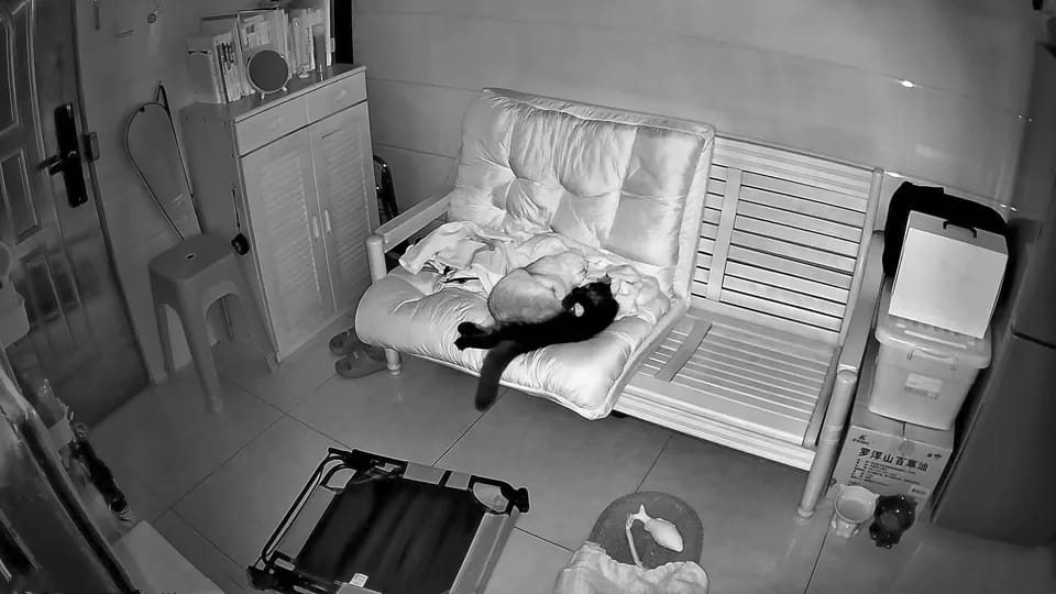 Customer photo review of Caméra IP Intérieure | Sécurité Intelligente & Surveillance à Distance