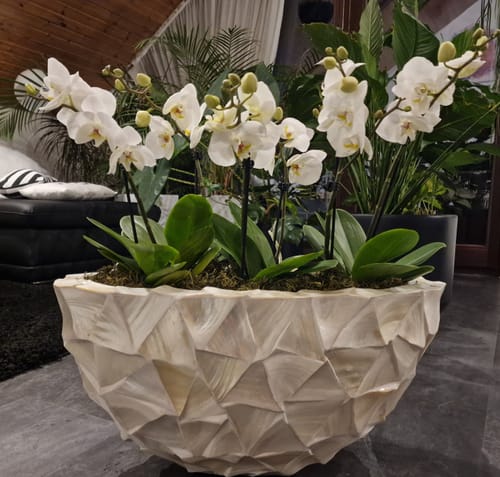 Customer photo review of Große Two of Us Weiß mit weißen Blüten und 2 Rispen