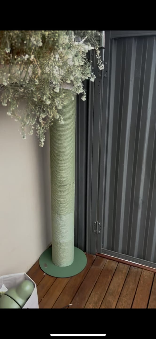 Customer photo review of Makesure Nino Cat Scratching Post | Cat Tree