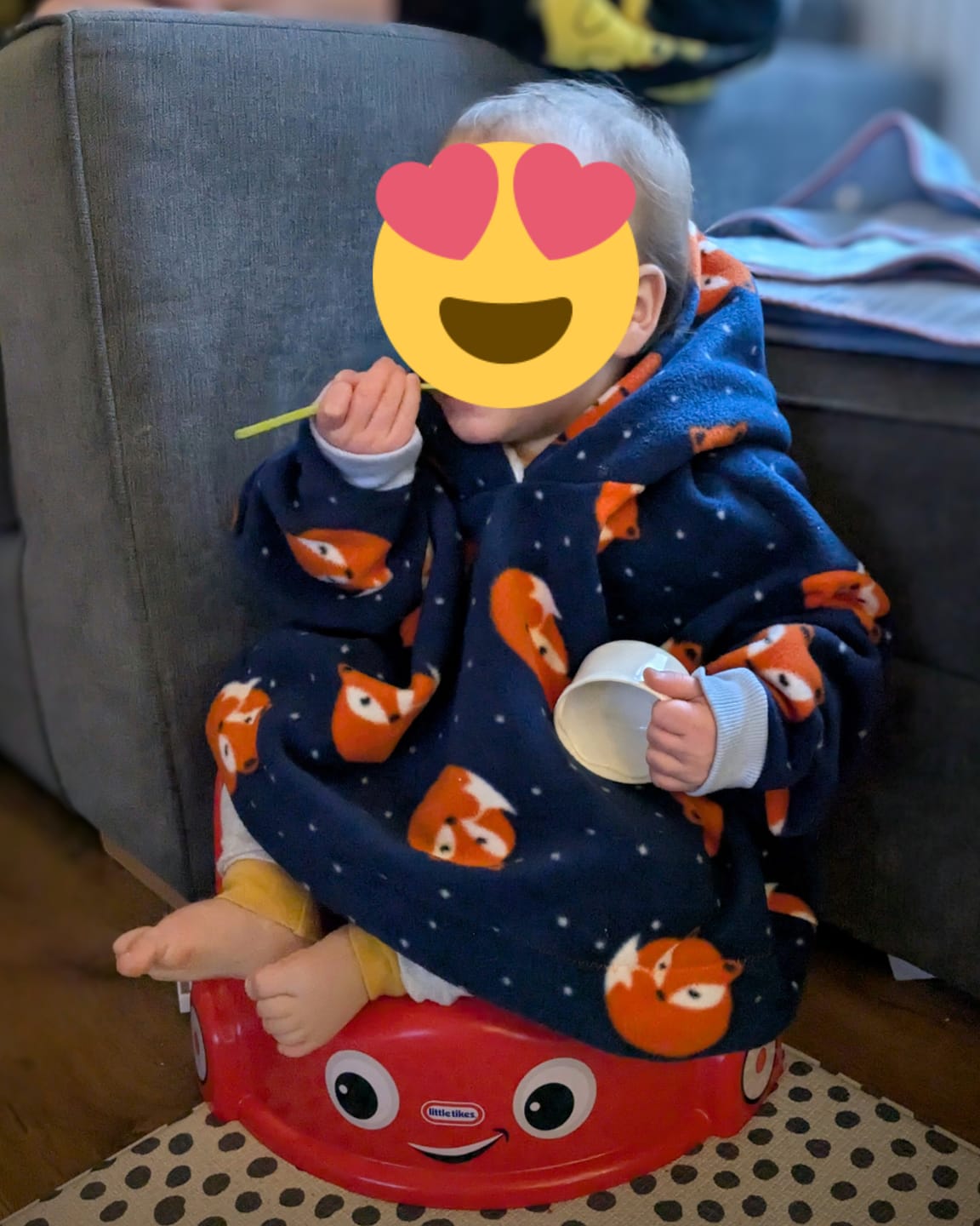 Customer photo review of Sleeping Foxes Anti Pill Polar Fleece Fabric