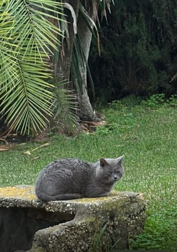 Customer photo review of Patsli - Rundum Sorglos