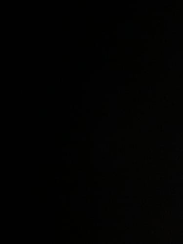 Customer photo review of Black Widow Spider Belly Button Ring