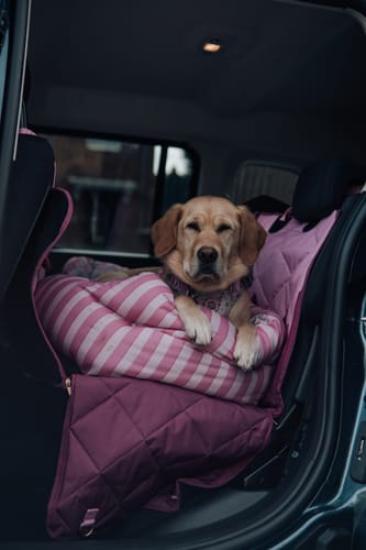 undefined review of Car Seat Cover - Walkies Ready® Raspberry Pink image 1 out of 2