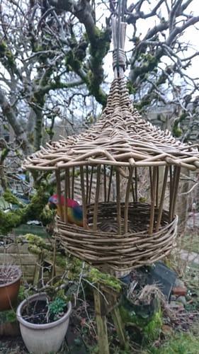 Customer photo review of The Bird Feeder - Online Course and Kit