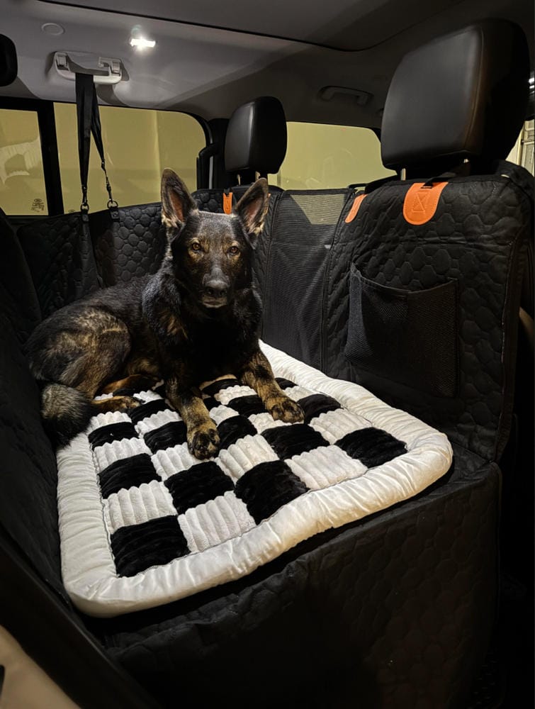 Customer photo review of DoggyKings™ Heavy-Duty Dog Car Seat Cover