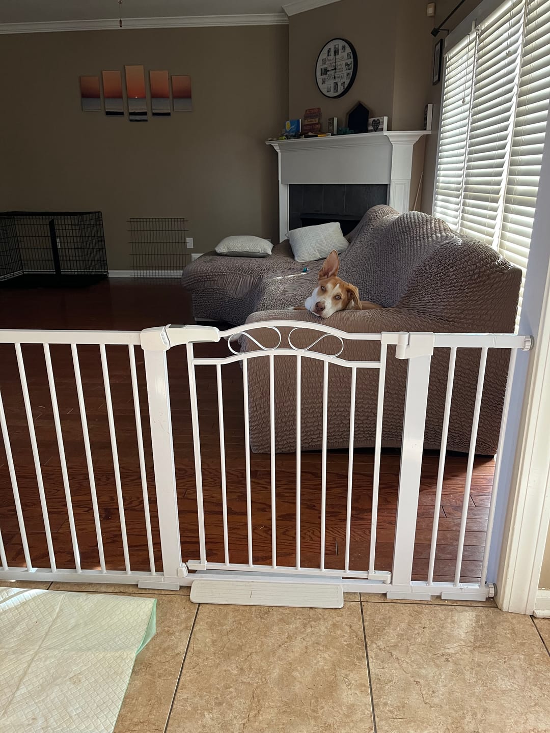 Customer photo review of FairyBaby Baby Gate Extension