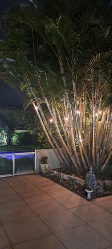 Recensione con foto di un cliente sulle luci a festone a lampadine solari - Lampadine LED tradizionali, nere