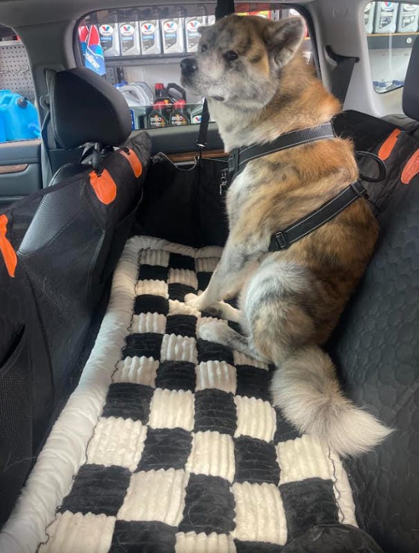 Customer photo review of DoggyKings™ Heavy-Duty Dog Car Seat Cover