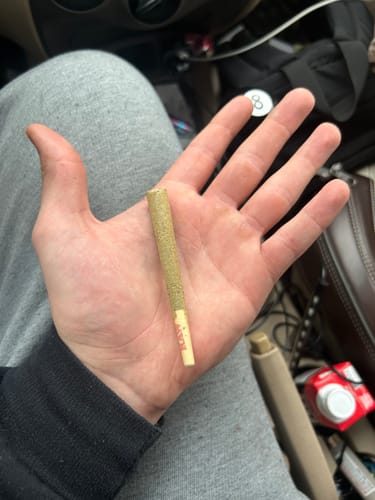Customer photo review of Firecracker Purple Haze Sativa Torch THC-A Infused Pre Roll 2.5g