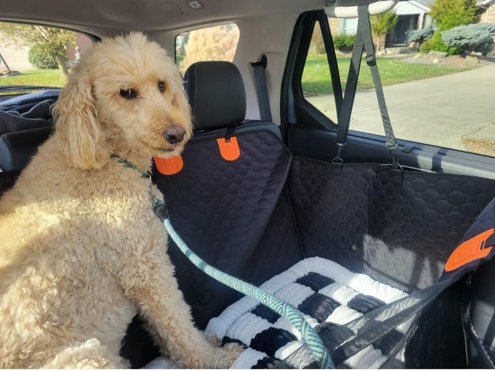 Customer photo review of DoggyKings™ Heavy-Duty Dog Car Seat Cover