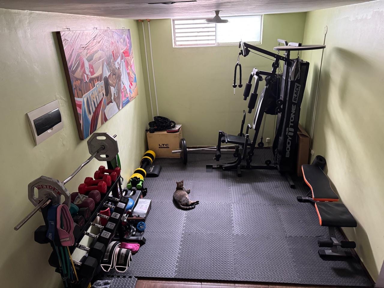 Customer photo review of Set de 6 Pisos Tatami de Espuma EVA para Entrenamiento
