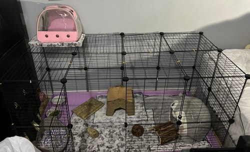 Customer photo review of C&C cage 4x2 for rabbits
