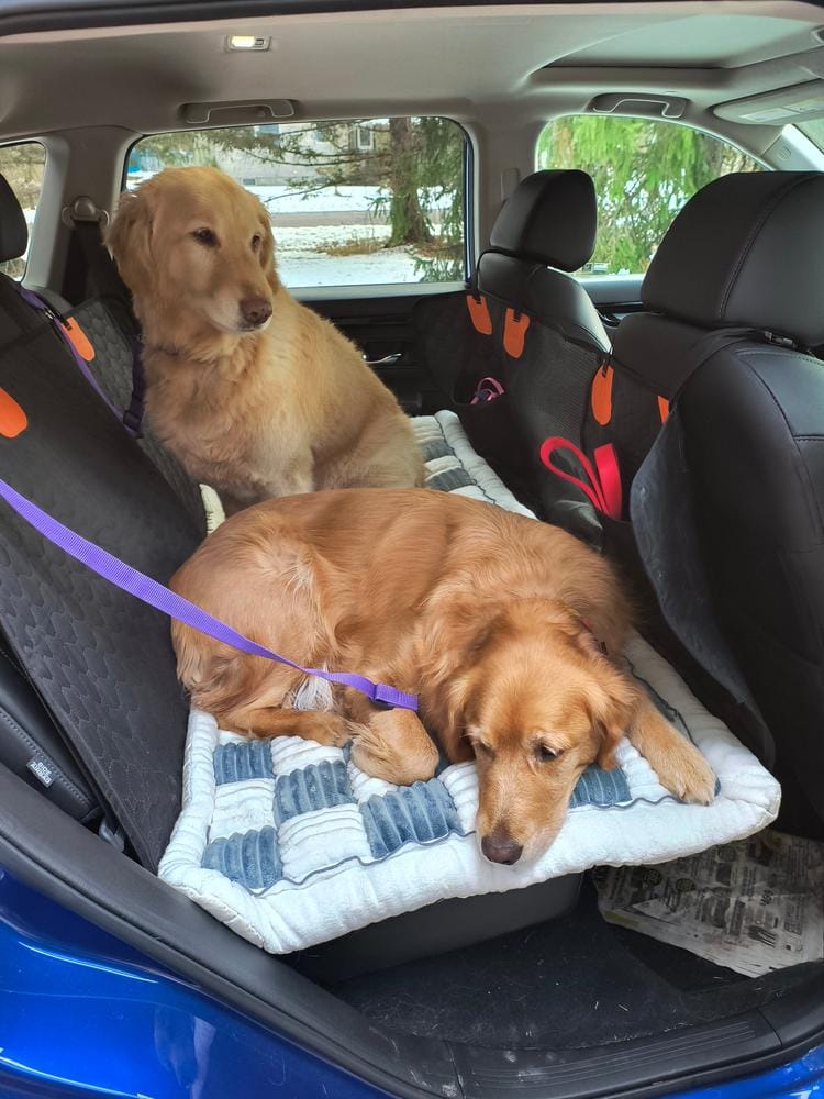 Customer photo review of DoggyKings™ Heavy-Duty Dog Car Seat Cover