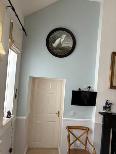 Customer photo review of C.1838 Audubon's Herons - Round Frame