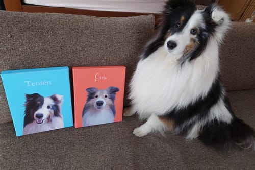 Customer photo review of Petcanva©オーダーメイド ペット似顔絵