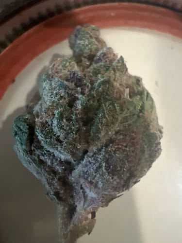 Customer photo review of Super Boof